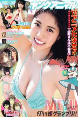 仙女湖电视剧全集41